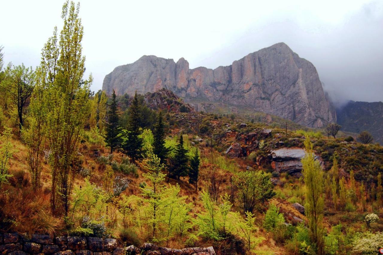 La Posada Del Arba El Frago Bagian luar foto