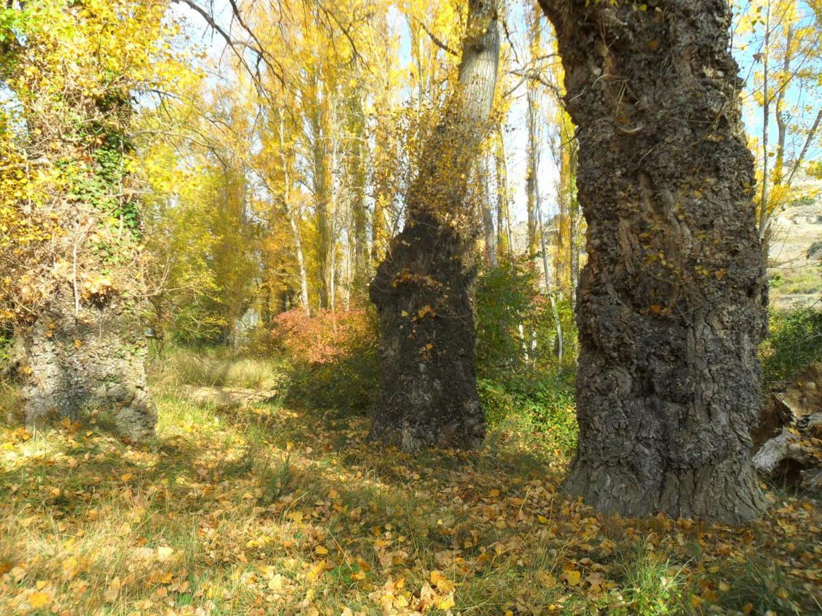 La Posada Del Arba El Frago Bagian luar foto