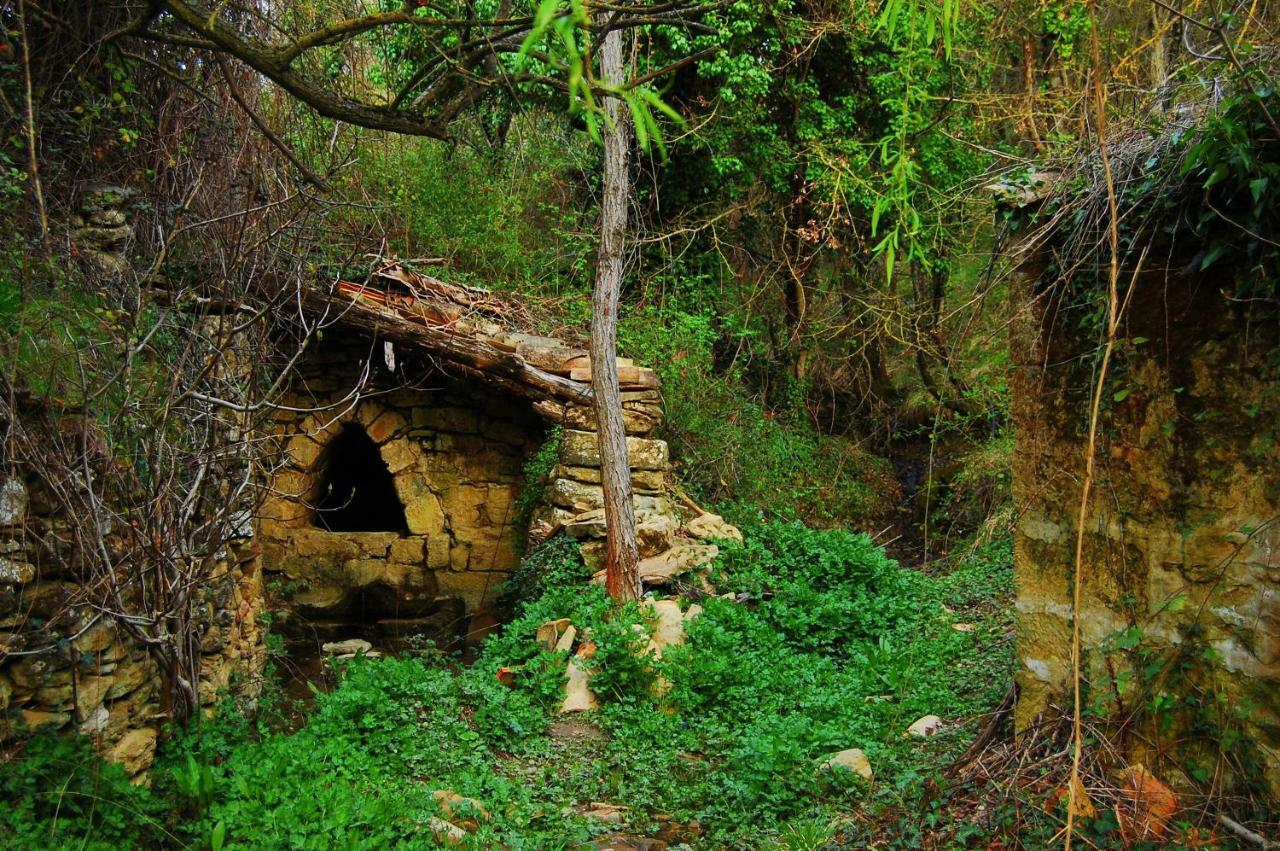 La Posada Del Arba El Frago Bagian luar foto