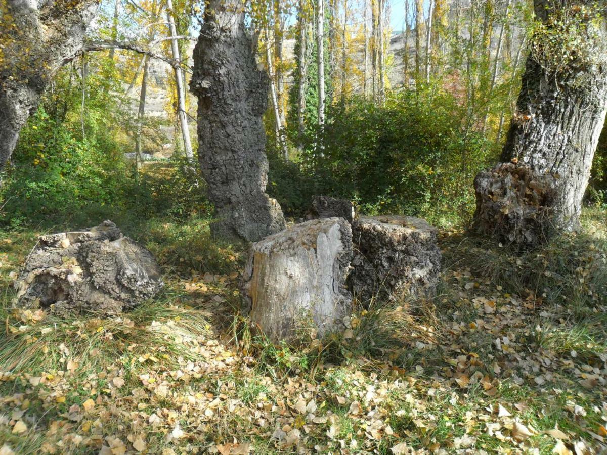La Posada Del Arba El Frago Bagian luar foto