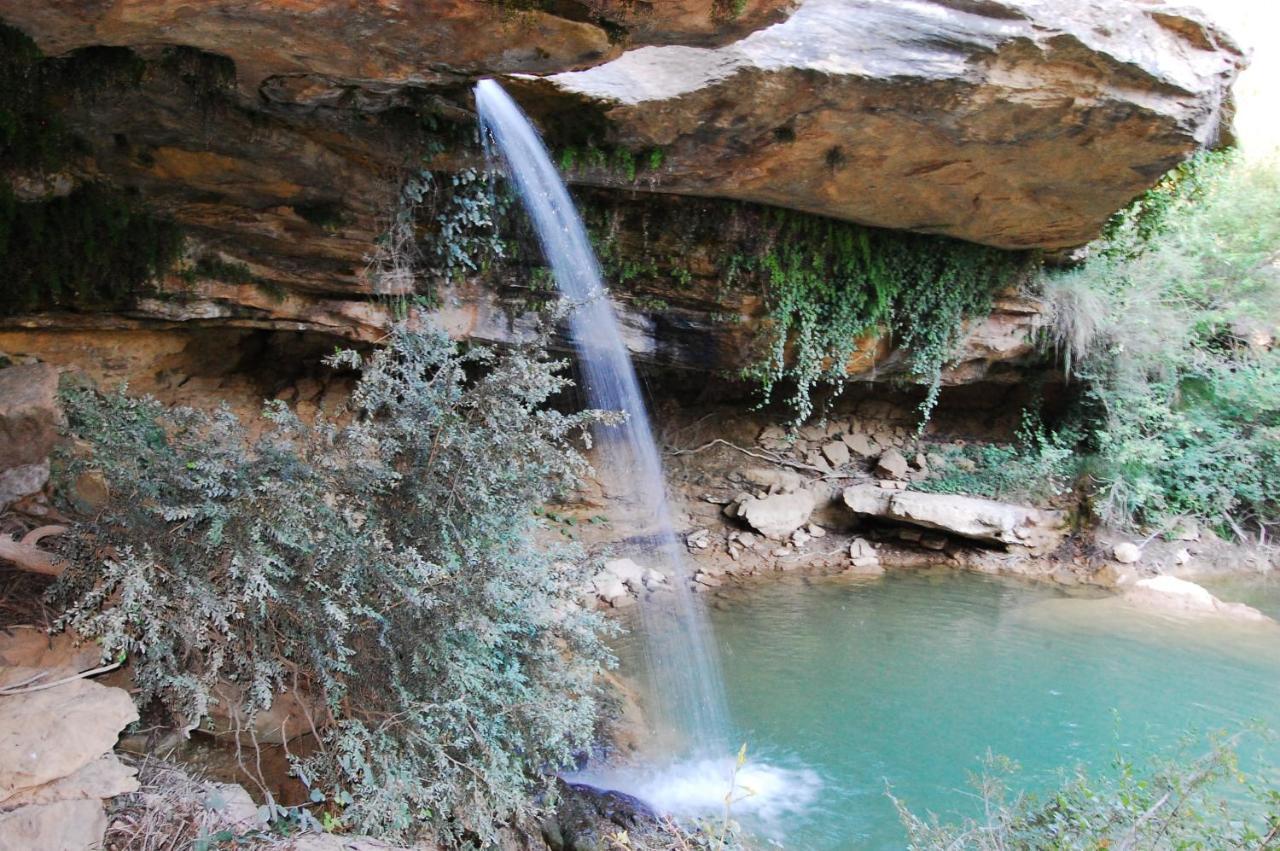 La Posada Del Arba El Frago Bagian luar foto